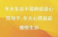 冬天心情说说感悟生活【100句文案】 冬天心情说说感悟生活【100句文案】