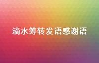 滴水筹转发语感谢语【100句精选短句合集】 滴水筹转发语感谢语【100句精选短句合集】