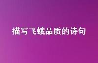 描写飞蛾品质的诗句(精选70句)