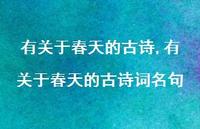 有关于春天的古诗词名句【精品文案100句】 有关于春天的古诗词名句【精品文案100句】