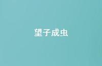 望子成虫70句汇总 望子成虫70句汇总