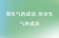 形容生气的成语【精选100句】
