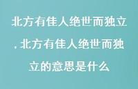 北方有佳人绝世而独立的意思是什么【精品文案100句】 北方有佳人绝世而独立的意思是什么【精品文案100句】