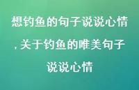 关于钓鱼的唯美句子说说心情(100句)