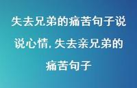 失去亲兄弟的痛苦句子(100句) 失去亲兄弟的痛苦句子(100句)