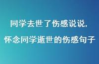 怀念同学逝世的伤感句子(100句)