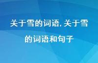 关于雪的词语和句子【精品文案100句】