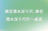 桃花潭水深千尺打一成语【精品文案100句】 桃花潭水深千尺打一成语【精品文案100句】