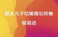 朋友儿子结婚微信转账祝福语合集55句精选