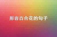 形容百合花的句子39句汇总 形容百合花的句子39句汇总