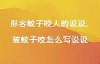 被蚊子咬怎么写说说(100句) 被蚊子咬怎么写说说(100句)