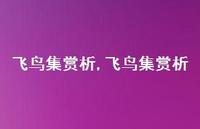 飞鸟集赏析【100句文案精选】 飞鸟集赏析【100句文案精选】