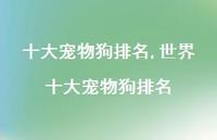 世界十大宠物狗排名【精选100句】 世界十大宠物狗排名【精选100句】