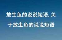 关于放生鱼的说说短语(100句) 关于放生鱼的说说短语(100句)