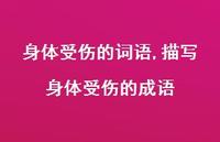 描写身体受伤的成语(100句)