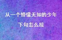 从一个懵懂无知的少年下句怎么接56句汇总 从一个懵懂无知的少年下句怎么接56句汇总