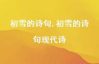 初雪的诗句现代诗【精品文案100句】