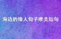 海边的撩人句子唯美短句63句汇总 海边的撩人句子唯美短句63句汇总
