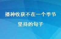 播种收获不在一个季节坚持的句子【100句精选短句合集】