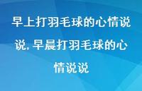 早晨打羽毛球的心情说说(100句)