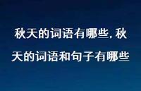 秋天的词语和句子有哪些【100句文案精选】