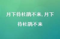 月下待杜鹃不来【100句文案精选】