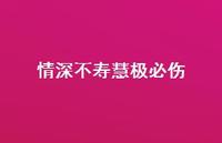 情深不寿慧极必伤55句汇总 情深不寿慧极必伤55句汇总
