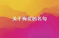 关于梅花的名句(精选59句) 关于梅花的名句(精选59句)