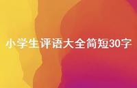 小学生评语大全简短30字56句汇总 小学生评语大全简短30字56句汇总