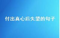 付出真心后失望的句子45句汇总