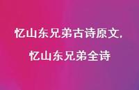 忆山东兄弟全诗【100句文案精选】