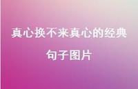 真心换不来真心的经典句子图片59句汇总