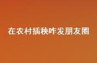 在农村插秧咋发朋友圈【100句精选短句合集】 在农村插秧咋发朋友圈【100句精选短句合集】