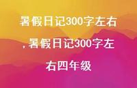 暑假日记300字左右四年级【100句文案精选】