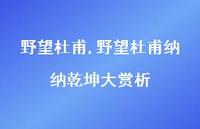 野望杜甫纳纳乾坤大赏析【100句文案精选】 野望杜甫纳纳乾坤大赏析【100句文案精选】