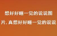真想好好睡一觉的说说(100句)