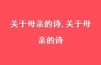 关于母亲的诗【100句文案精选】