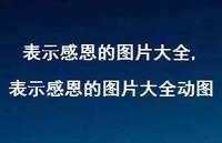 表示感恩的图片大全动图【100句文案精选】