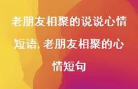 老朋友相聚的心情短句(100句) 老朋友相聚的心情短句(100句)