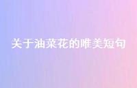 关于油菜花的唯美短句54句汇总