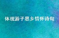 体现游子思乡情怀诗句(精选69句) 体现游子思乡情怀诗句(精选69句)