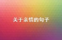 关于亲情的句子50句汇总