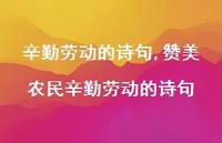 赞美农民辛勤劳动的诗句【100句文案精选】 赞美农民辛勤劳动的诗句【100句文案精选】