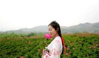 一起去草店镇的檀山芍药园看花看美女吧