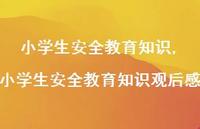 小学生较为可靠教育知识观后感【100句文案精选】 小学生较为可靠教育知识观后感【100句文案精选】
