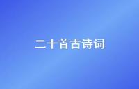 二十首古诗词(精选41句)
