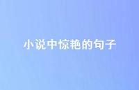小说中赞叹的句子44句汇总