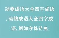 动物成语大全四字成语,例如守株待兔【精品文案100句】