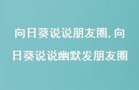向日葵说说幽默发朋友圈【100句文案】 向日葵说说幽默发朋友圈【100句文案】