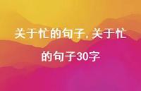 关于忙的句子30字【精选100句】